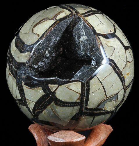 Polished Septarian Puzzle Geode - Black Crystals #57654